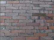   Wittmunder Klinker, OF